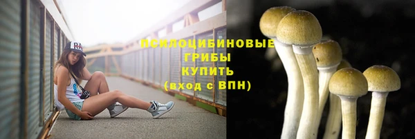 ГАЛЛЮЦИНОГЕННЫЕ ГРИБЫ Саяногорск